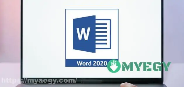 word 2010